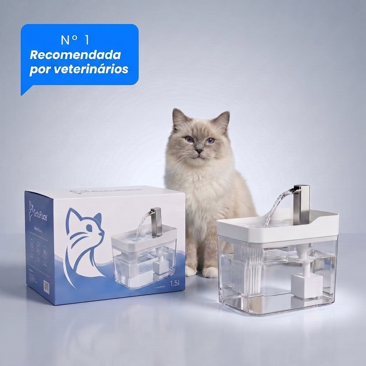 2 Fontes Preço Promocional