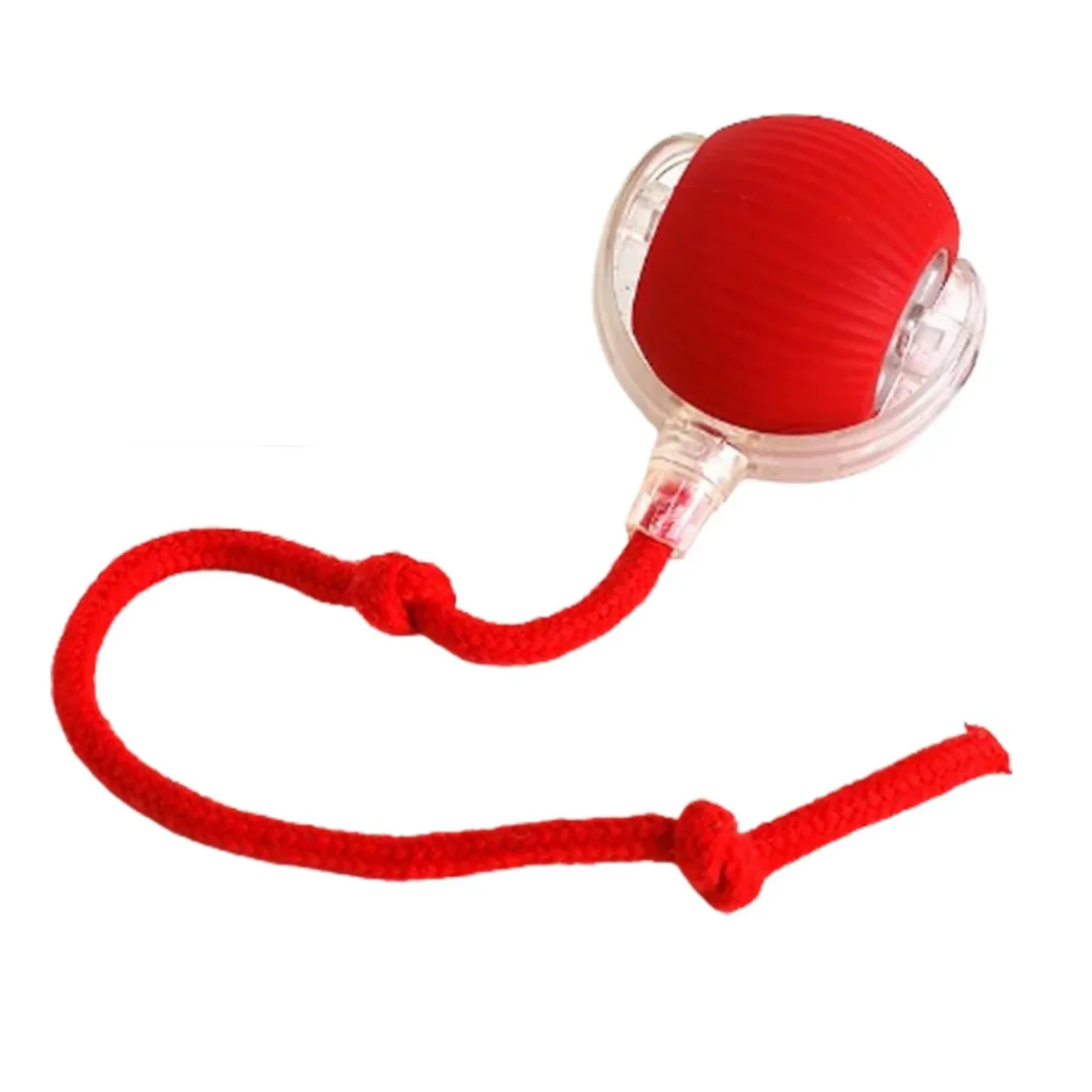 Bolinha Interativa para Gatos