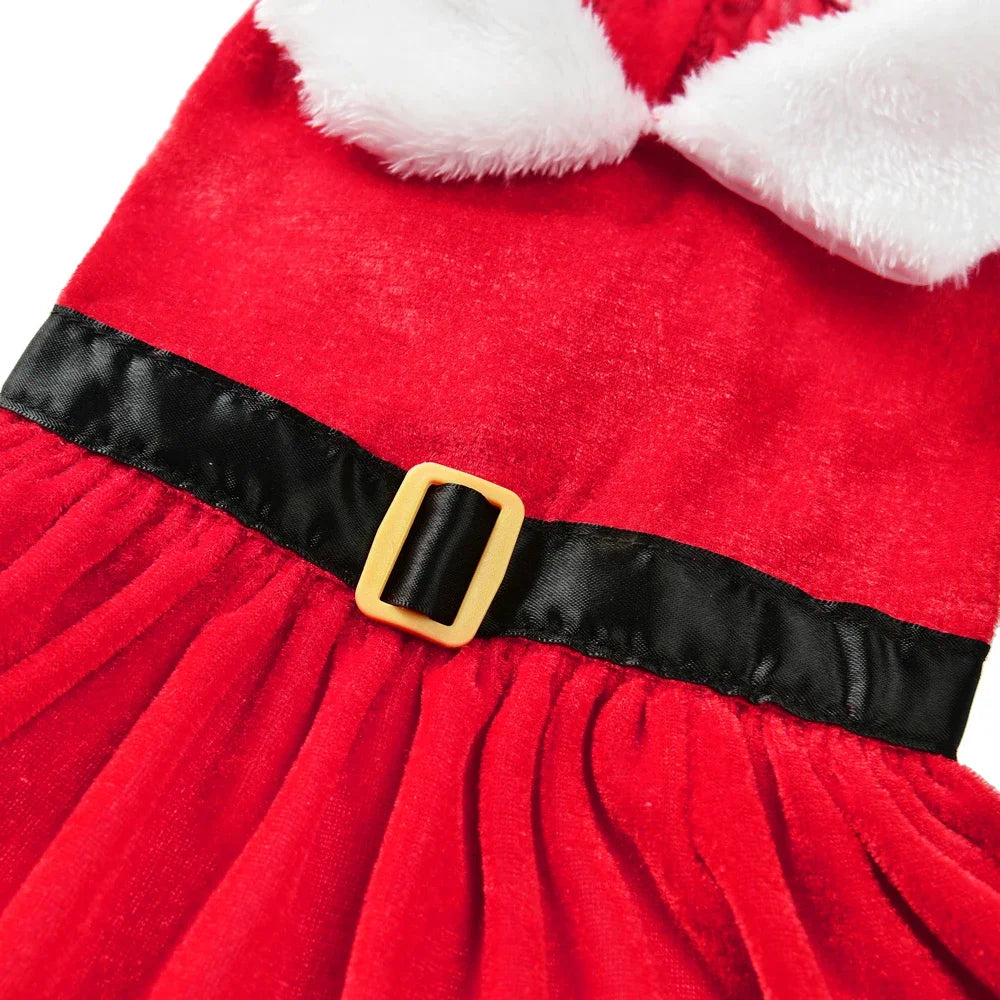 Vestido de Natal para Gatos