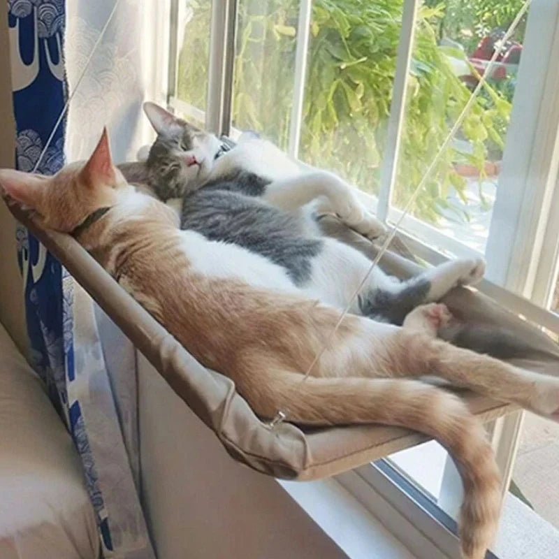 Rede com Ventosa para Gatos