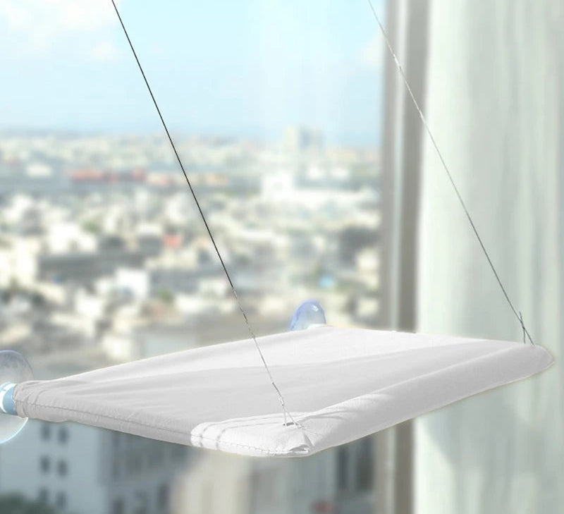 Rede com Ventosa para Gatos