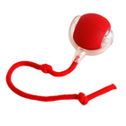 Bolinha Interativa para Gatos