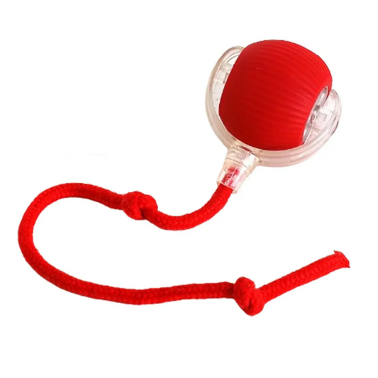 Bolinha Interativa para Gatos