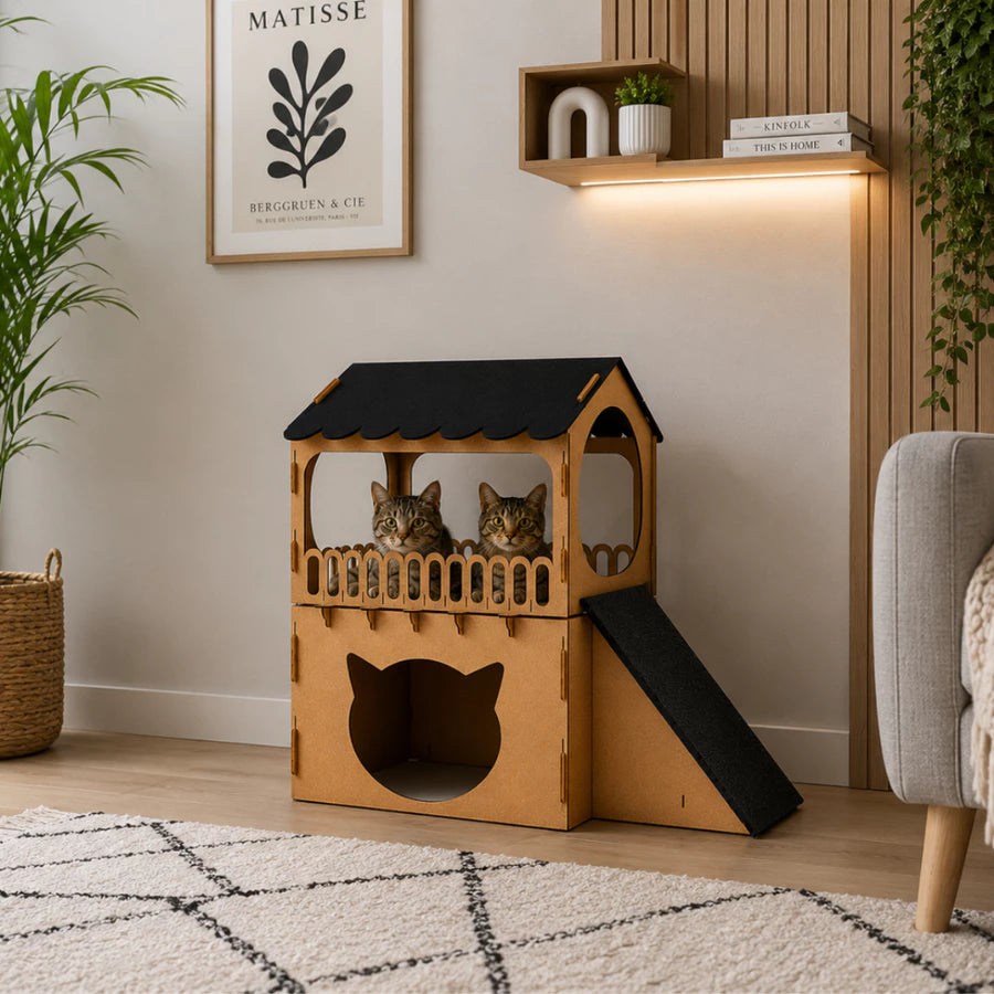 Casa com Rampa e Arranhador para Gatos