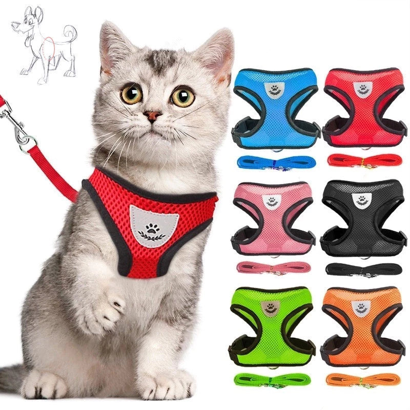 Coleira Peitoral para Gatos