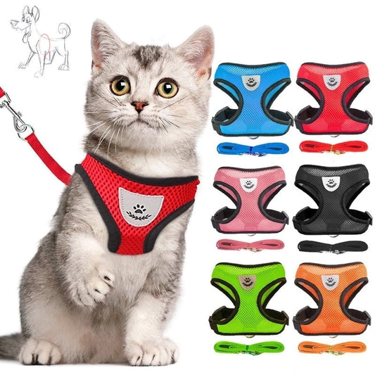 Coleira Peitoral para Gatos