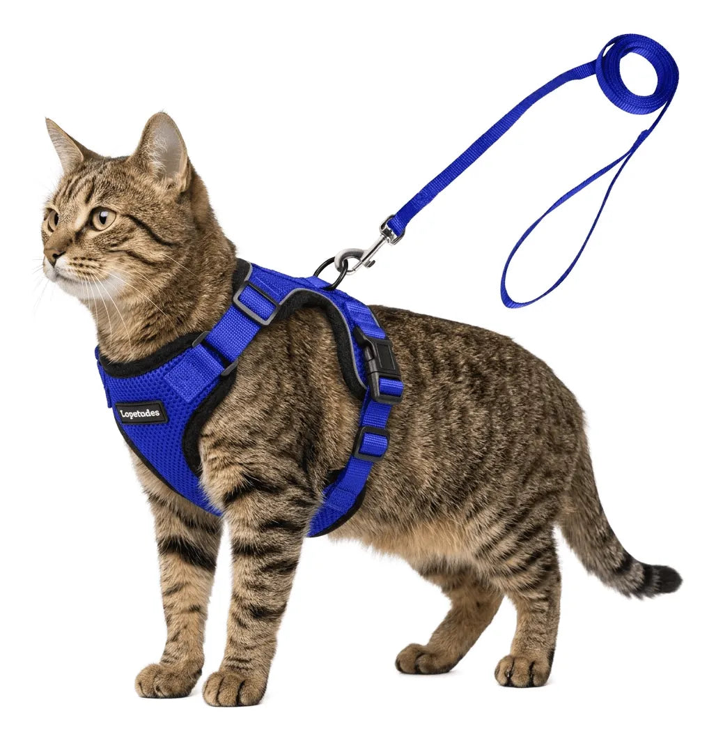 Coleira Peitoral para Gatos