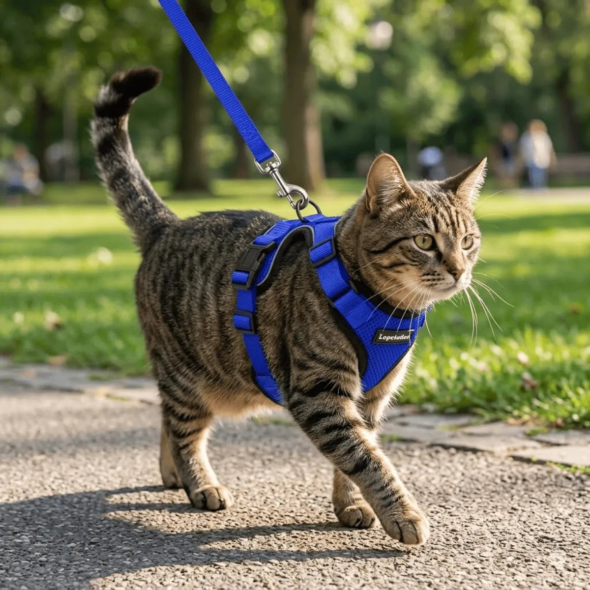 Coleira Peitoral para Gatos