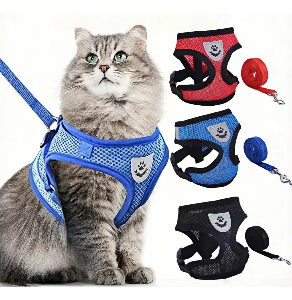 Coleira Peitoral para Gatos