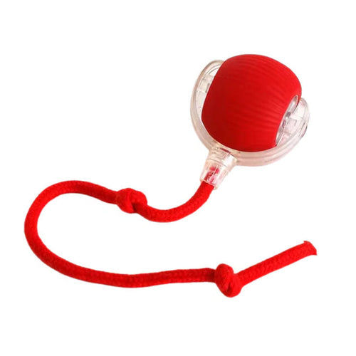 Bolinha Automática Interativa Para Gatos