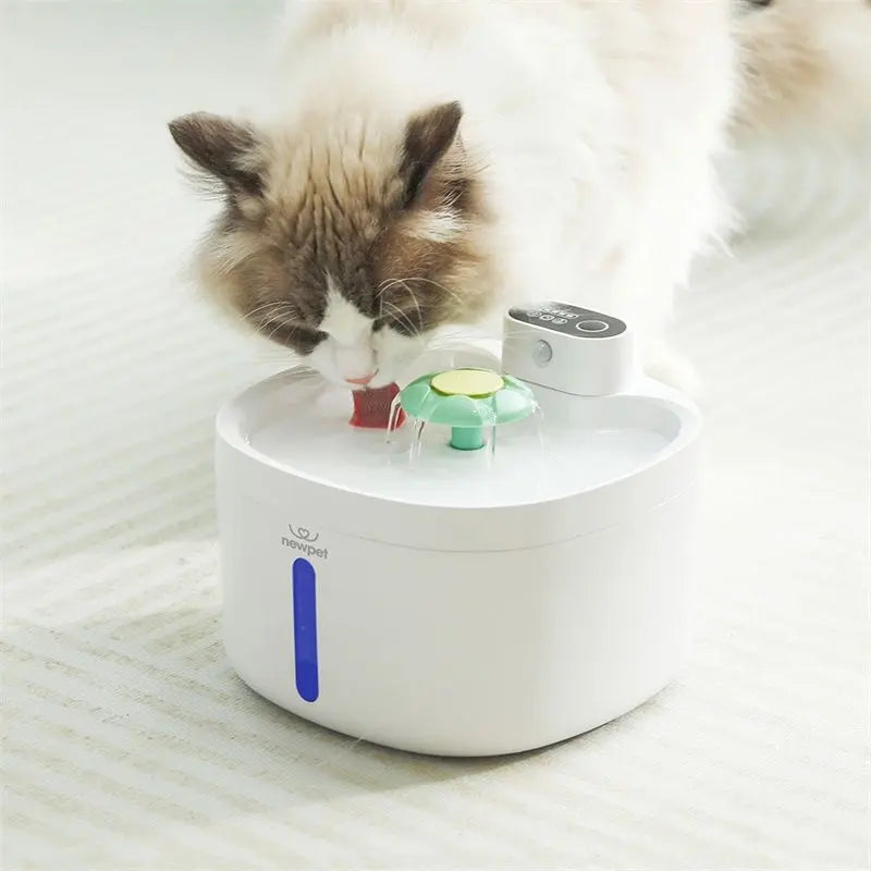 Fonte Inteligente Sem Fio para Gatos