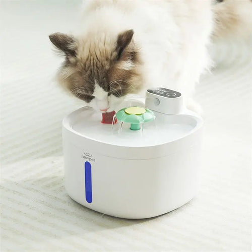 Fonte Sem Fio para Gatos