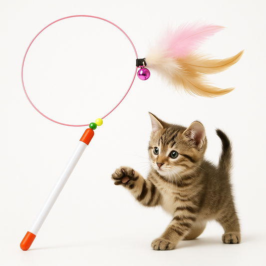Brinquedo Elástico Interativo para Gatos
